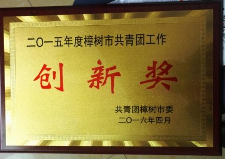 為“五四”喝彩，向青春致敬——集團(tuán)團(tuán)委獲2015年度樟樹市共青團(tuán)工作創(chuàng)新獎(jiǎng)