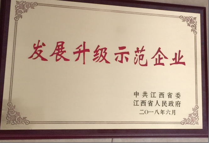 仁和集團榮膺＂全省先進非公有制企業”