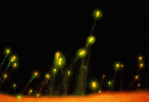 如何保持長期、持續、穩定的努力