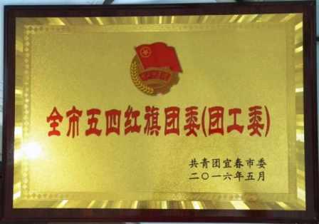 仁和集團(tuán)團(tuán)委榮膺宜春市“五四紅旗團(tuán)委” (1).jpg